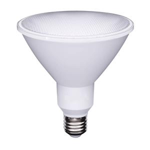 Lâmpada LED PAR38 220V E27 6500k 09.00.0158 LAMPADA LED PAR38 220V E27 650 