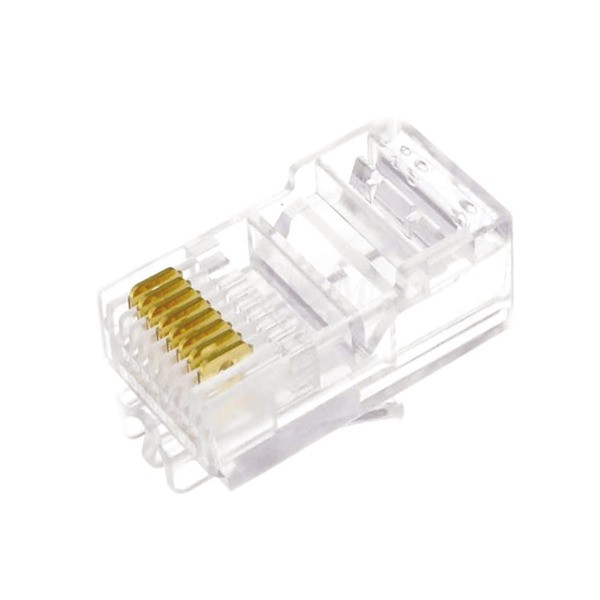 Plug RJ45