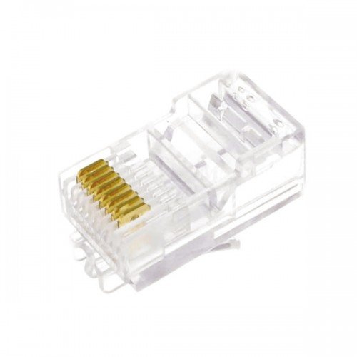 Plug RJ45